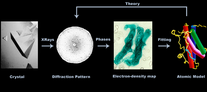 Crystallography Process
